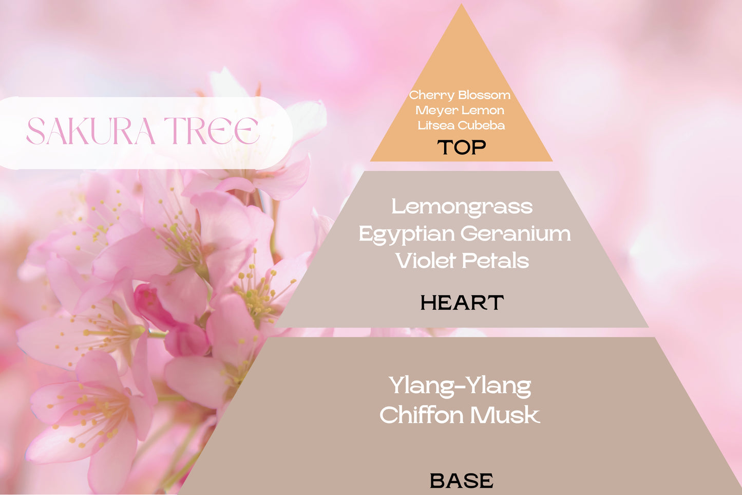 Naturcocó´s Selection: Flower Bouquet