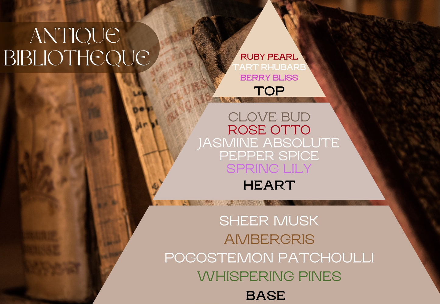 Naturcocó´s Selection: Woody Scents