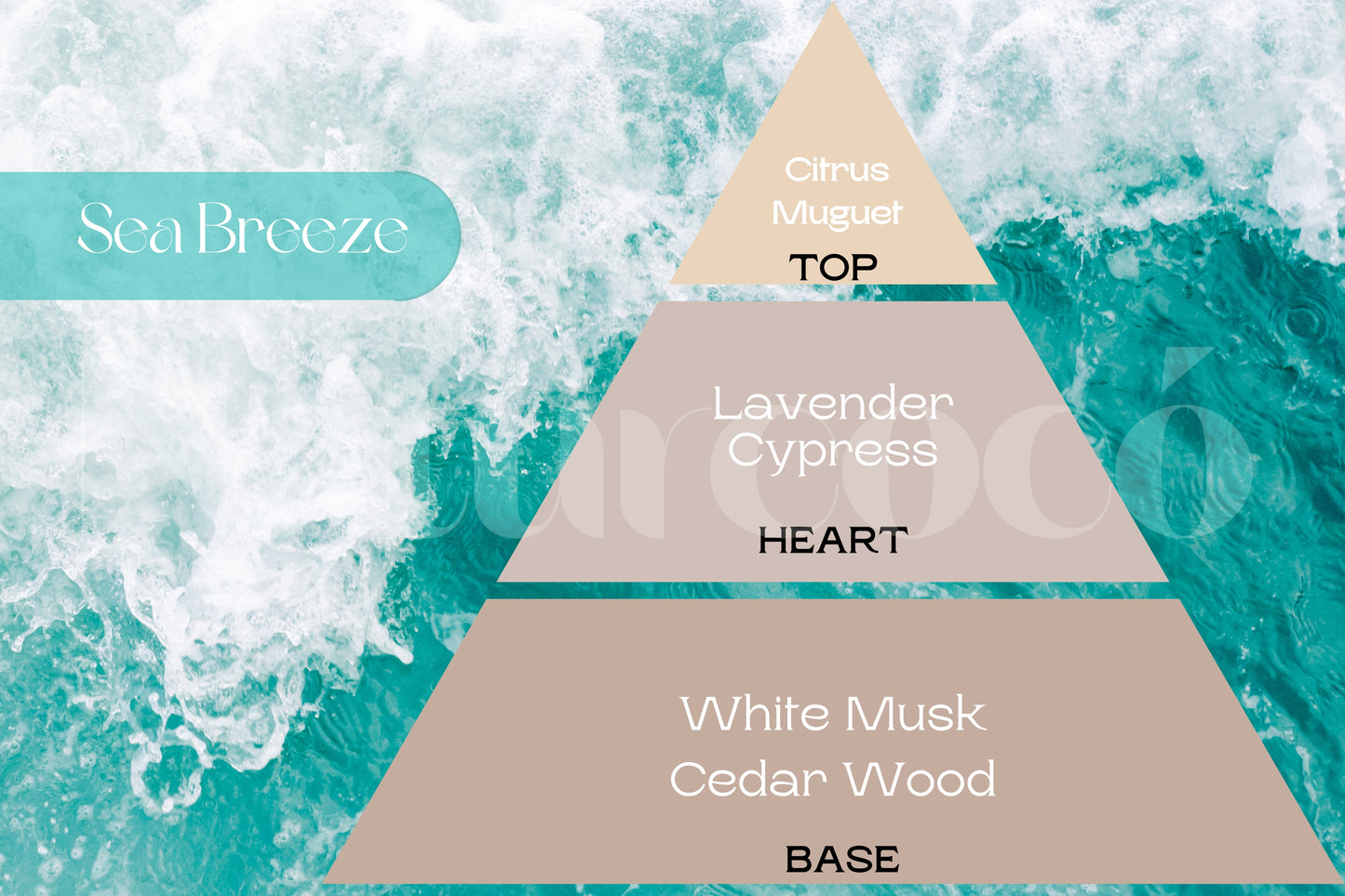 Fragancia SEA BREEZE