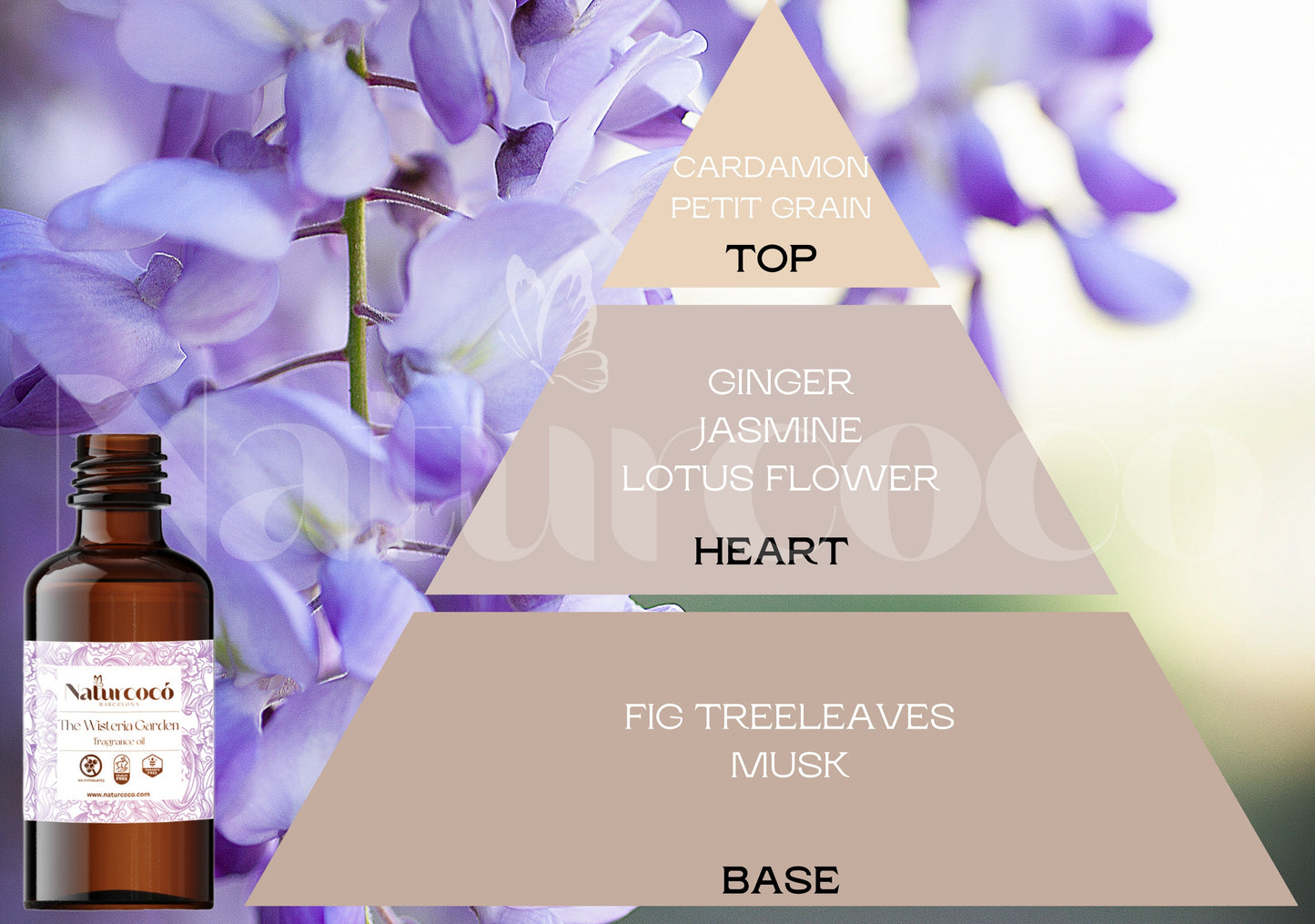 Fragancia THE WISTERIA GARDEN (LIQUIDACIÓN)