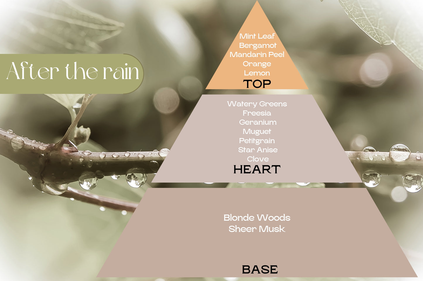 Naturcocó´s Selection: Scents of Nature