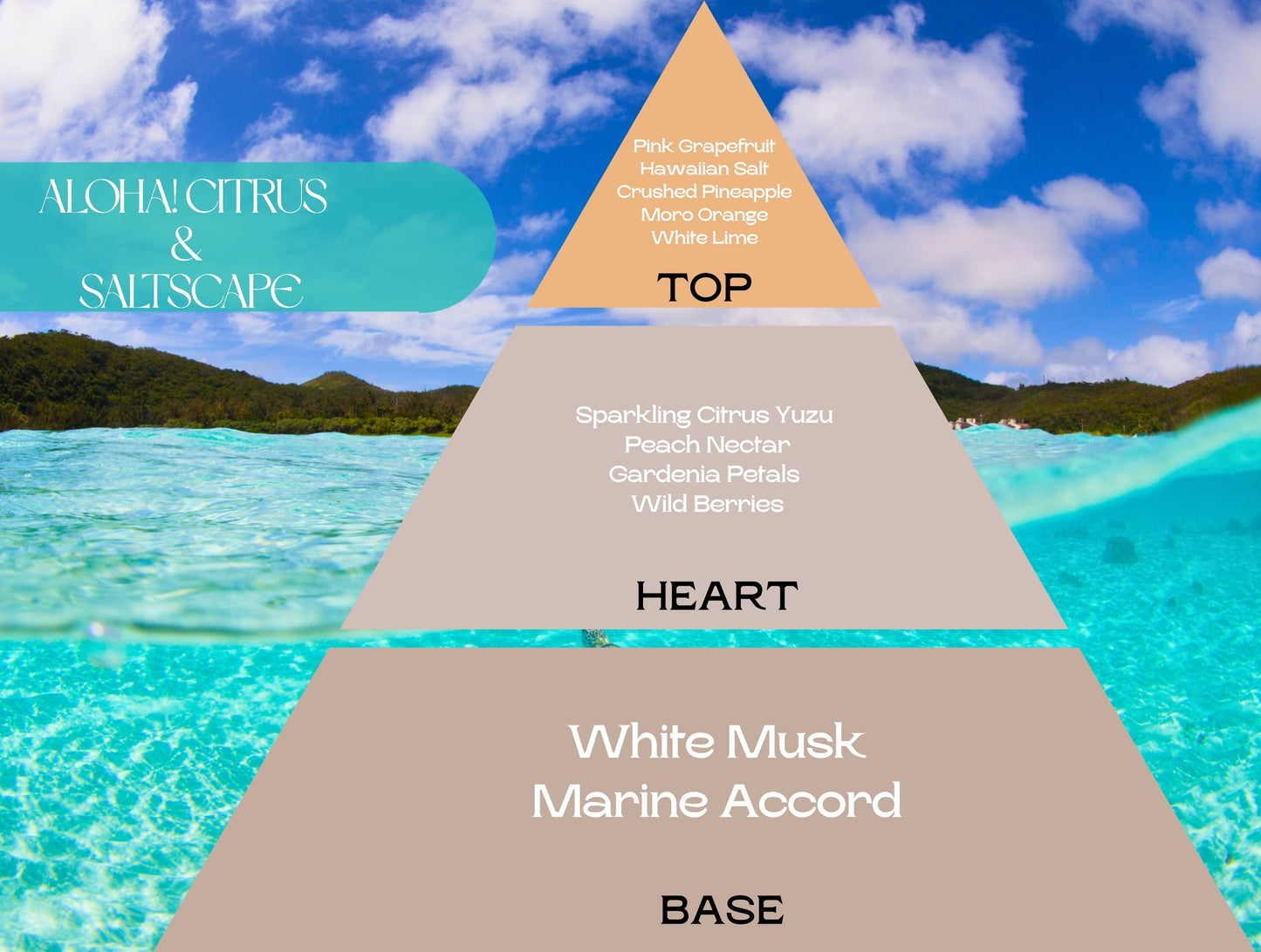 Fragancia ALOHA! CITRUS & SALTSCAPE (UFI free)