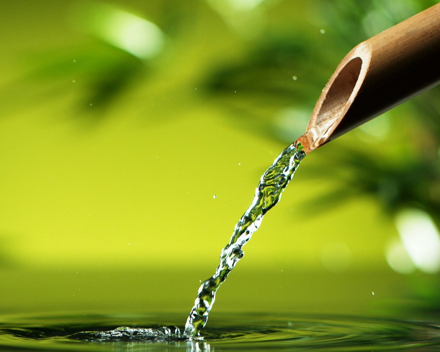 Fragancia BAMBOO & GREEN TEA