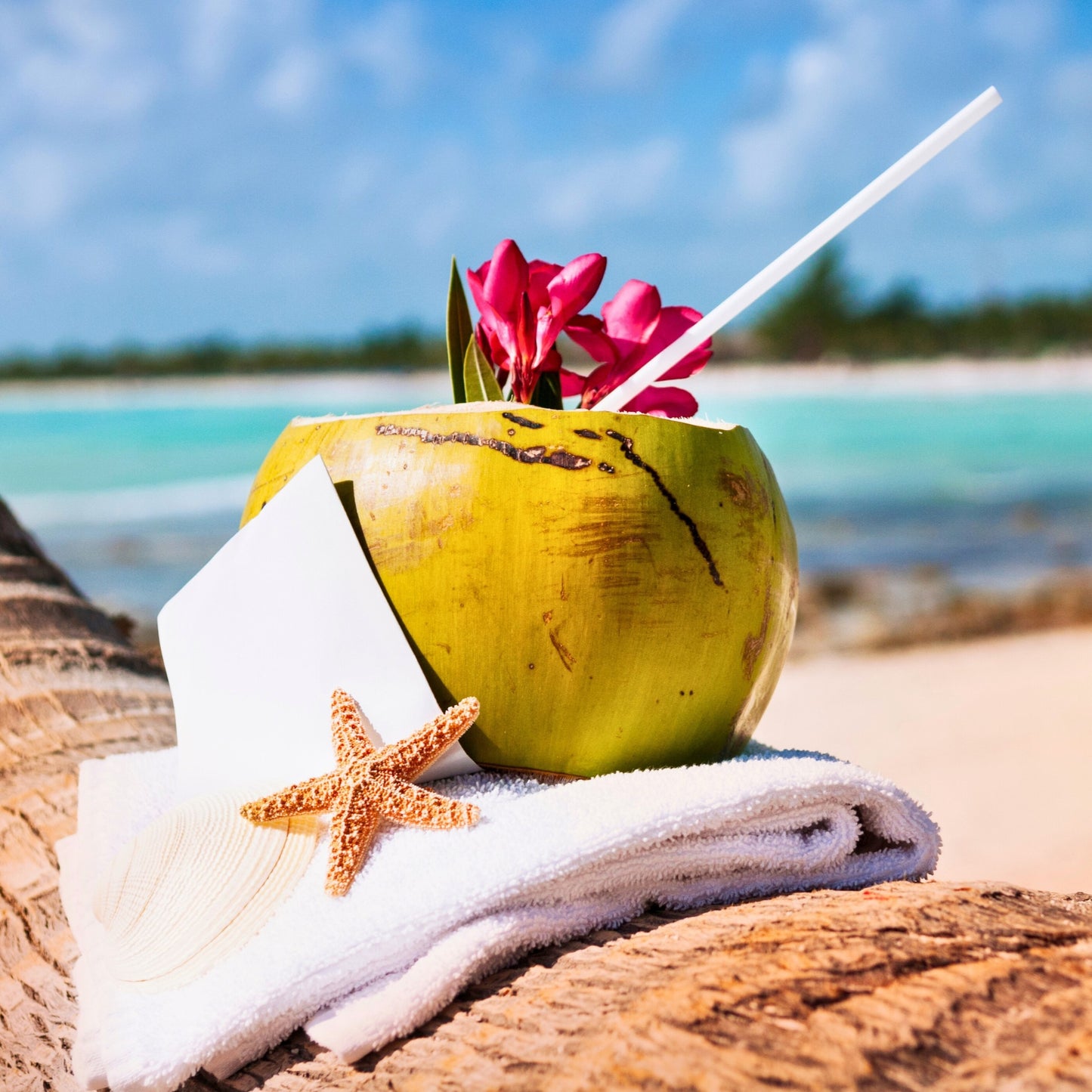 Fragancia ALOHA! CITRUS & SALTSCAPE (UFI free)