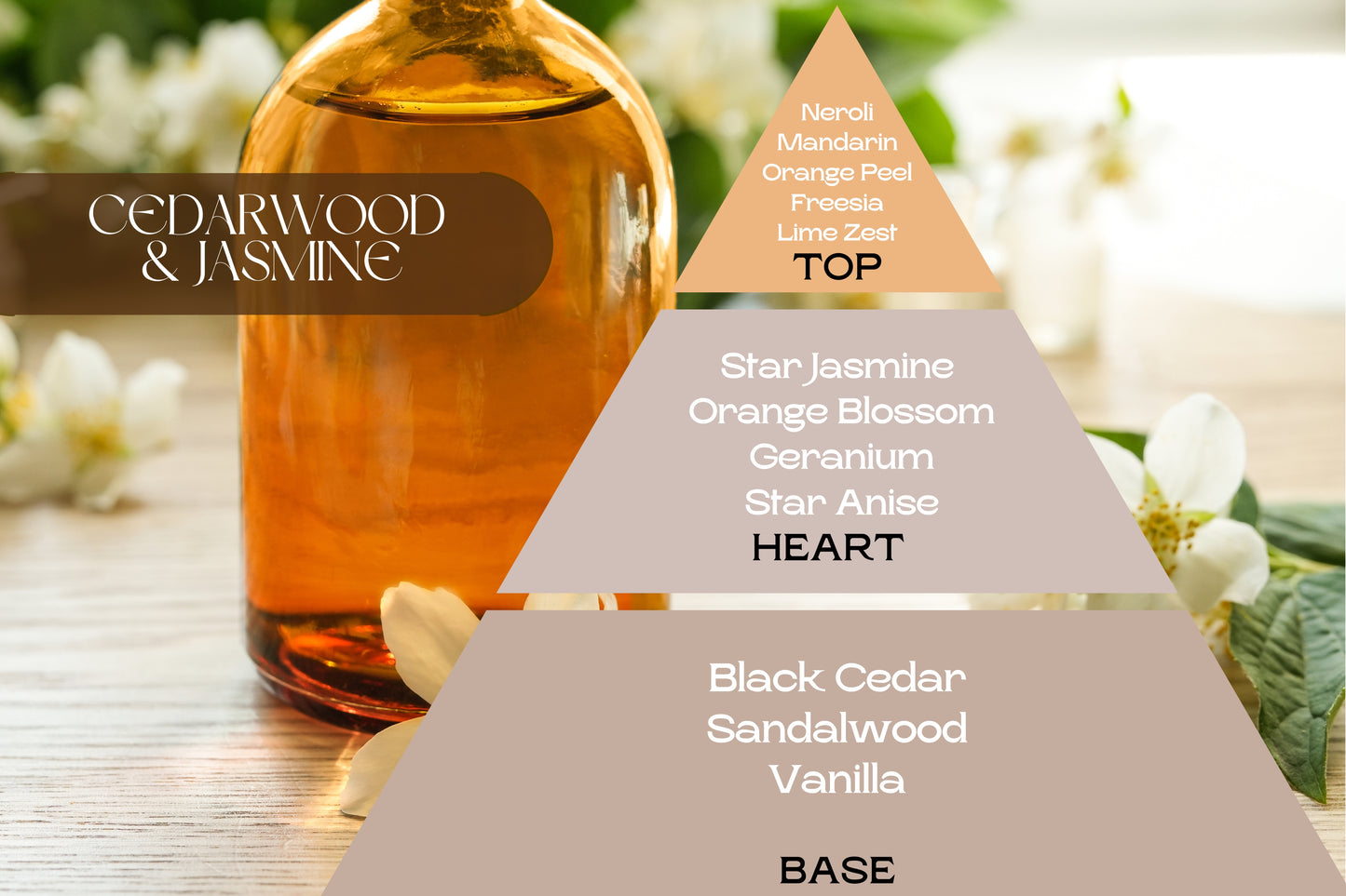 Naturcocó´s Selection: Scents of Nature