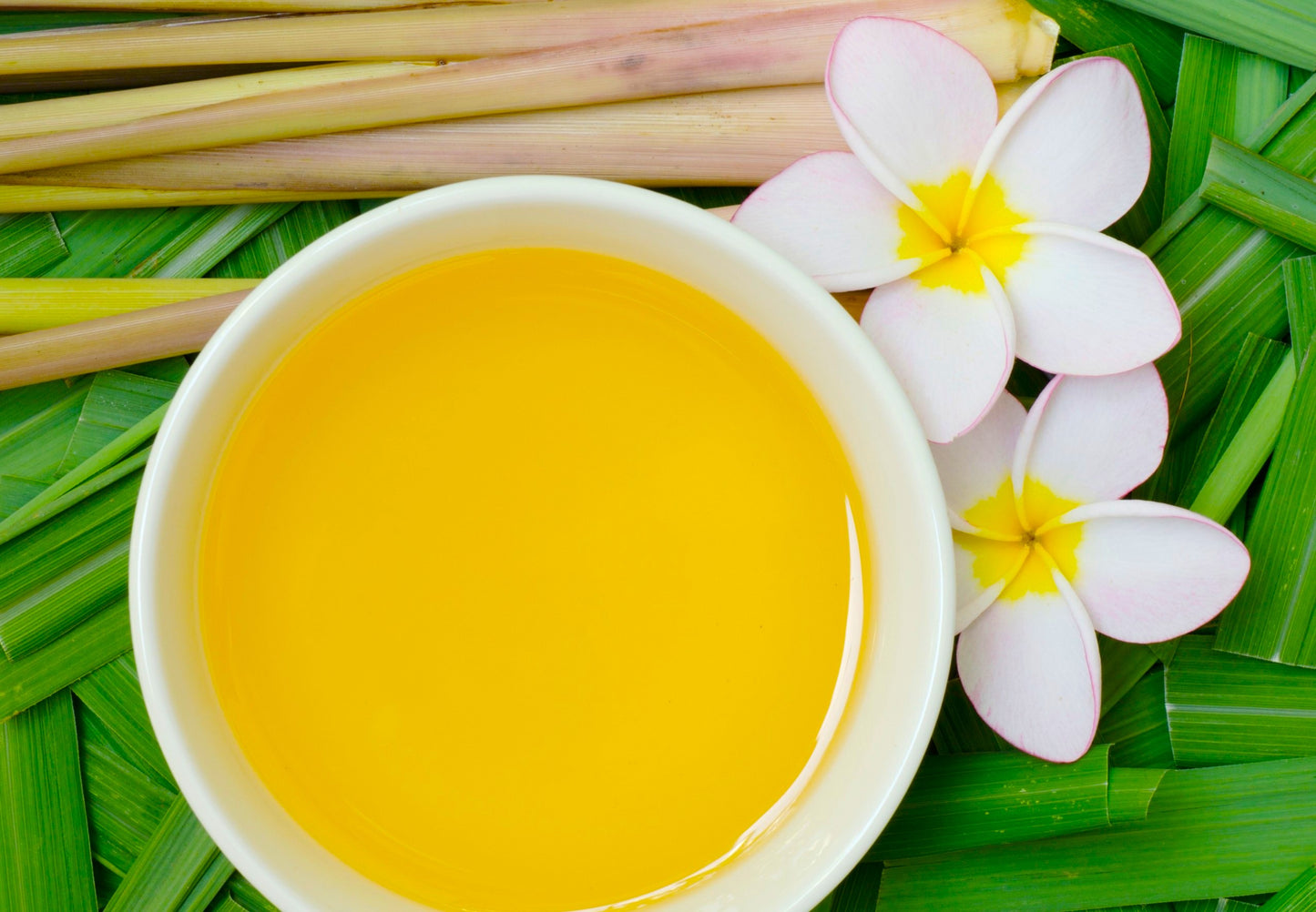 Fragancia CITRONELA (UFI free)