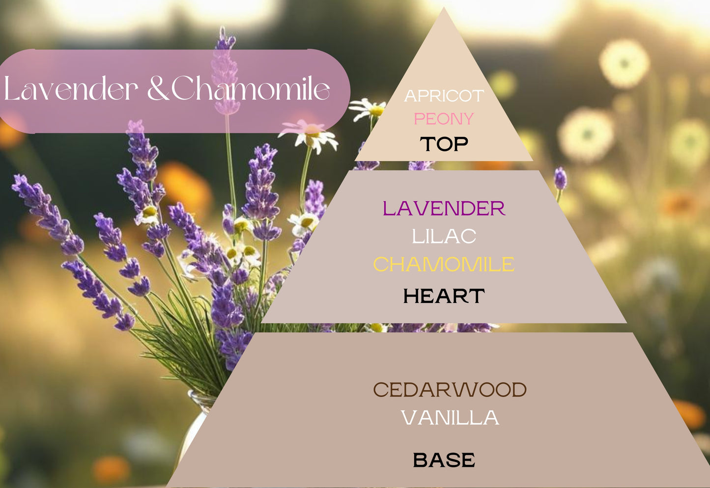 Fragancia LAVENDER & CHAMOMILE (UFI free)