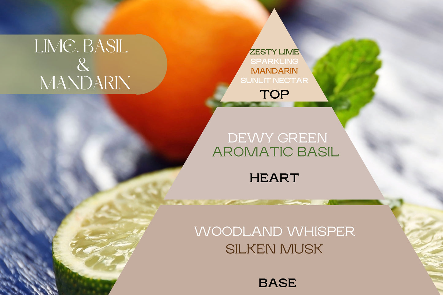 Naturcocó´s Selection: Summer Days