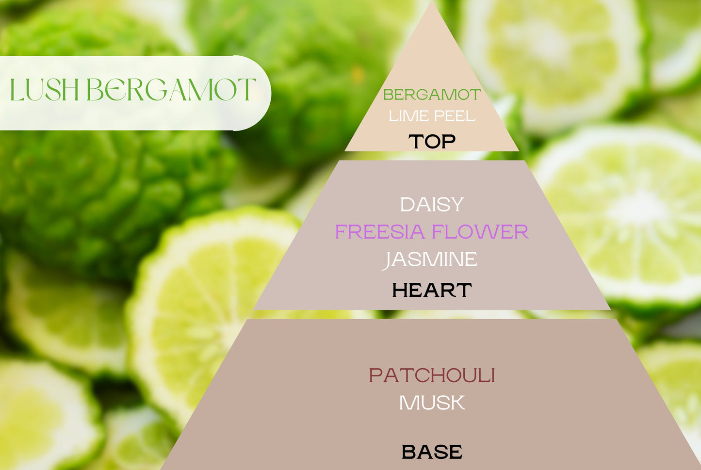 Naturcocó´s Selection: Scents of Nature