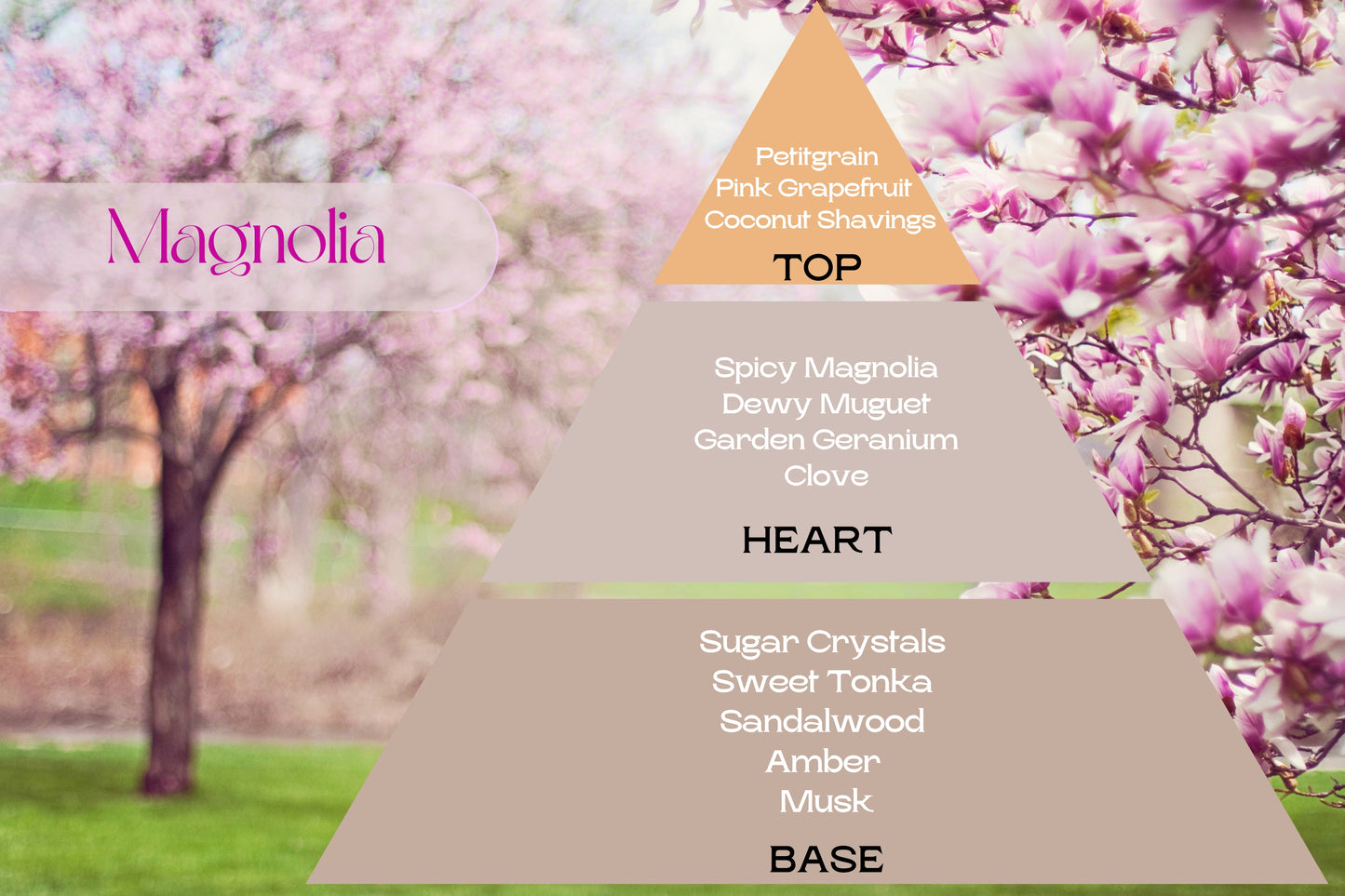 Fragancia MAGNOLIA (UFI free)