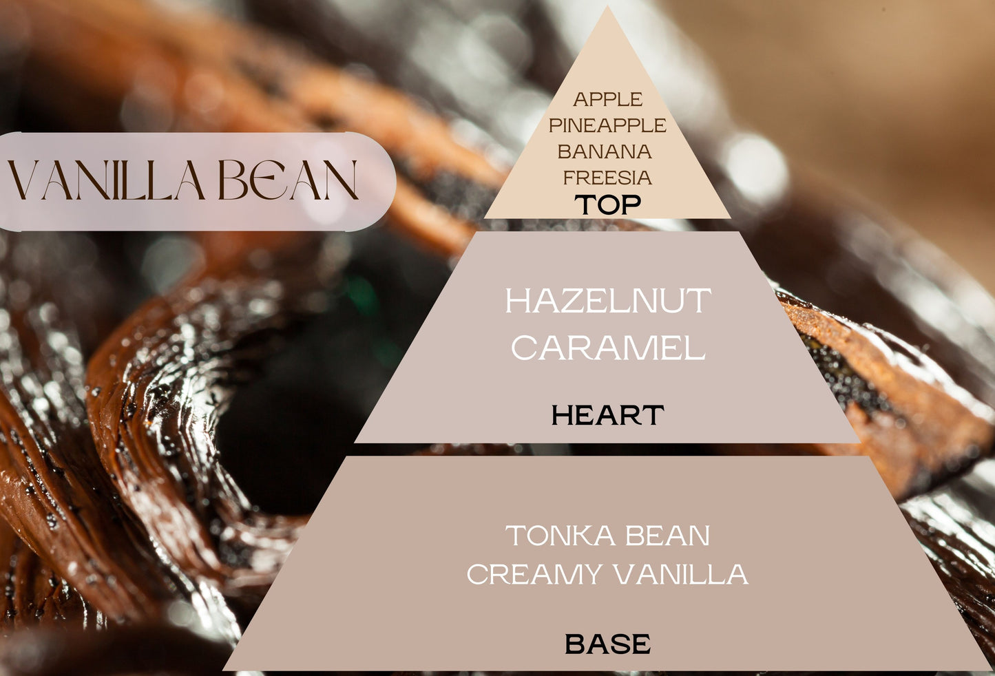 Fragancia VANILLA BEAN