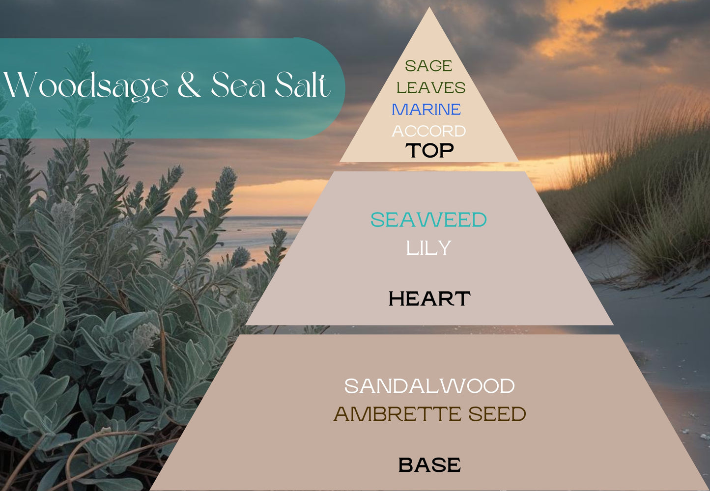 Fragancia WOODSAGE & SEA SALT (UFI free)