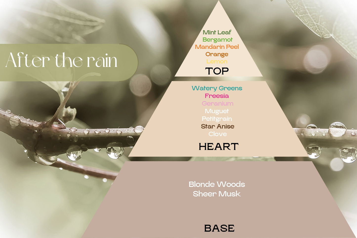 Fragancia AFTER THE RAIN