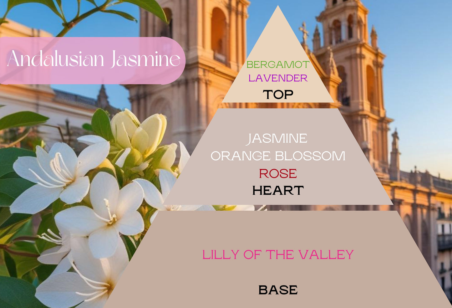 Fragancia ANDALUSIAN JASMINE