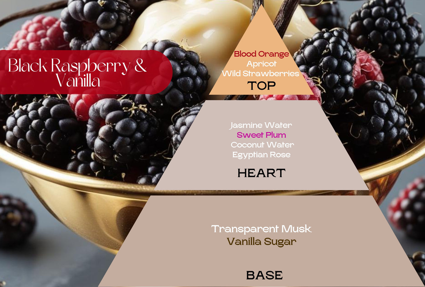 Fragancia BLACK RASPBERRY VANILLA