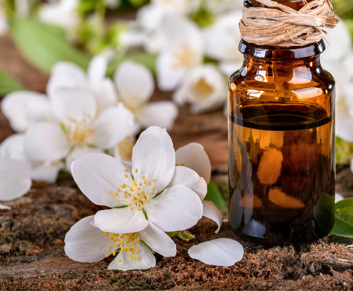 Fragancia CEDARWOOD & JASMINE