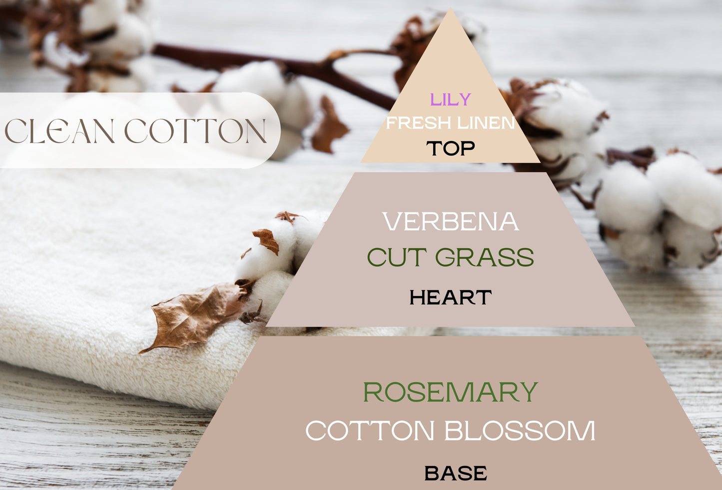 Fragancia CLEAN COTTON