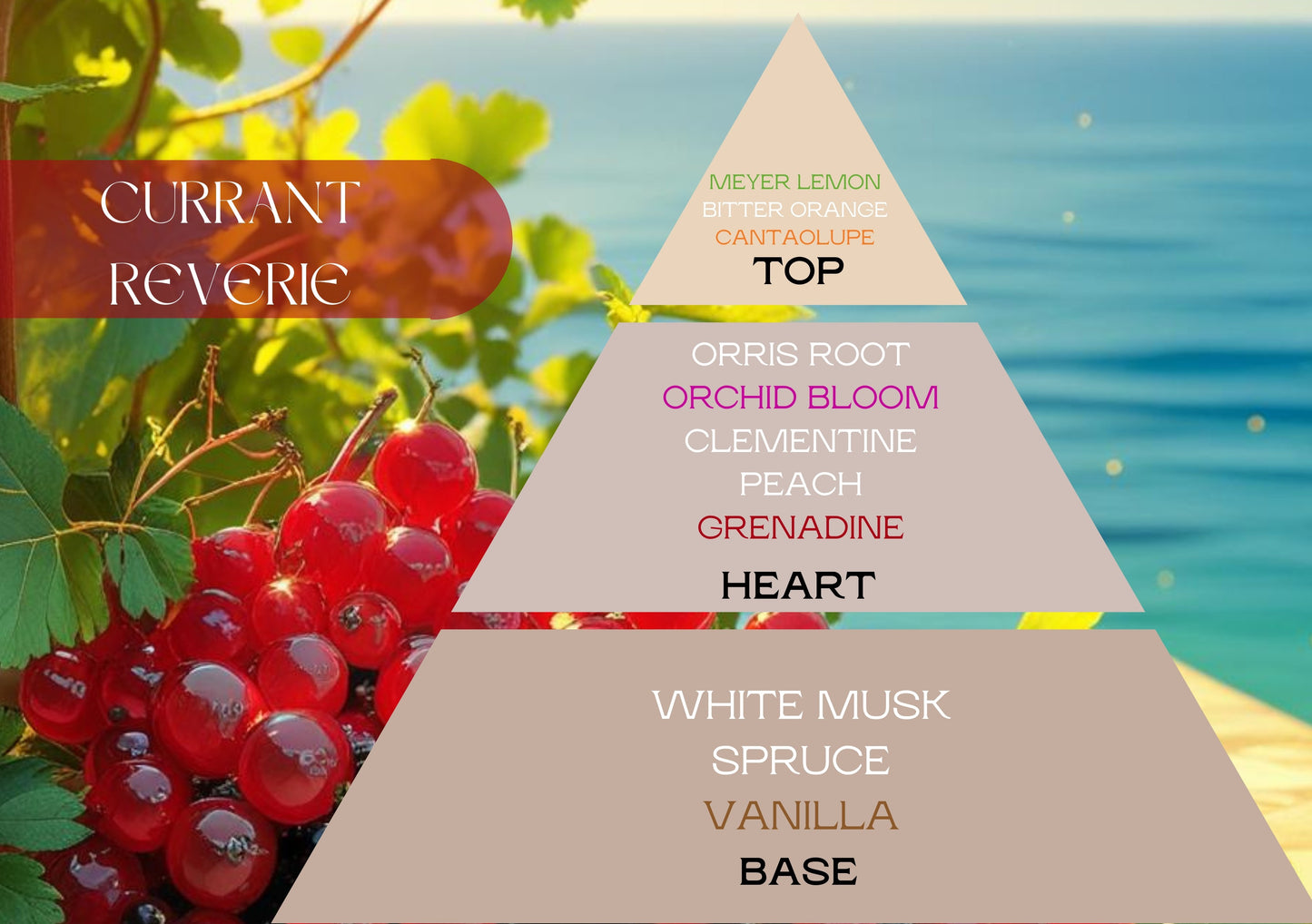 Fragancia CURRANT REVERIE