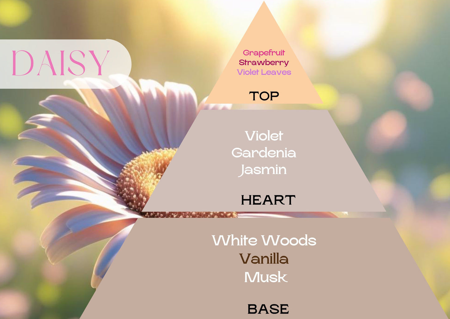 Fragancia DAISY Type