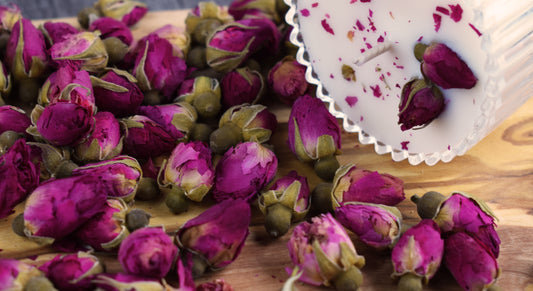 Brotes de Rosas Púrpura 25g