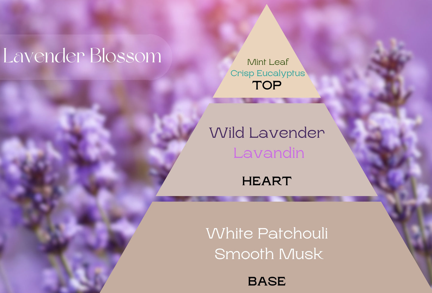 Fragancia LAVENDER BLOSSOM (NEW)