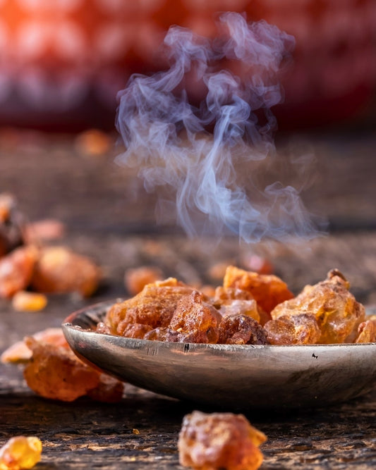 Fragancia MYRRH & TONKA type