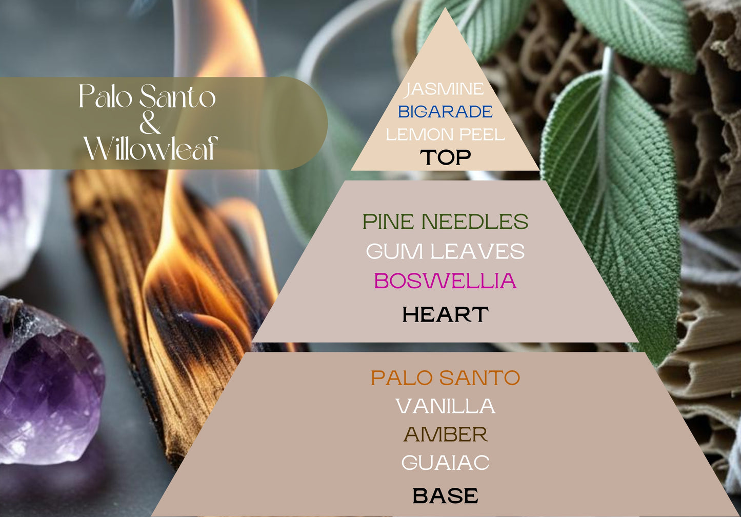 Fragancia PALO SANTO & WILLOWLEAF (UFI free)