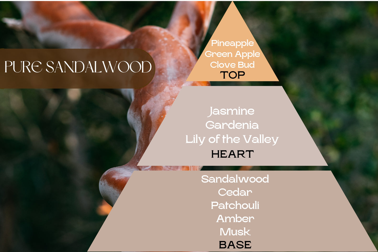 Fragancia PURE SANDALWOOD