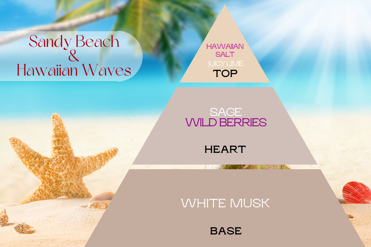 Fragancia SANDY BEACH & HAWAIIAN WAVES