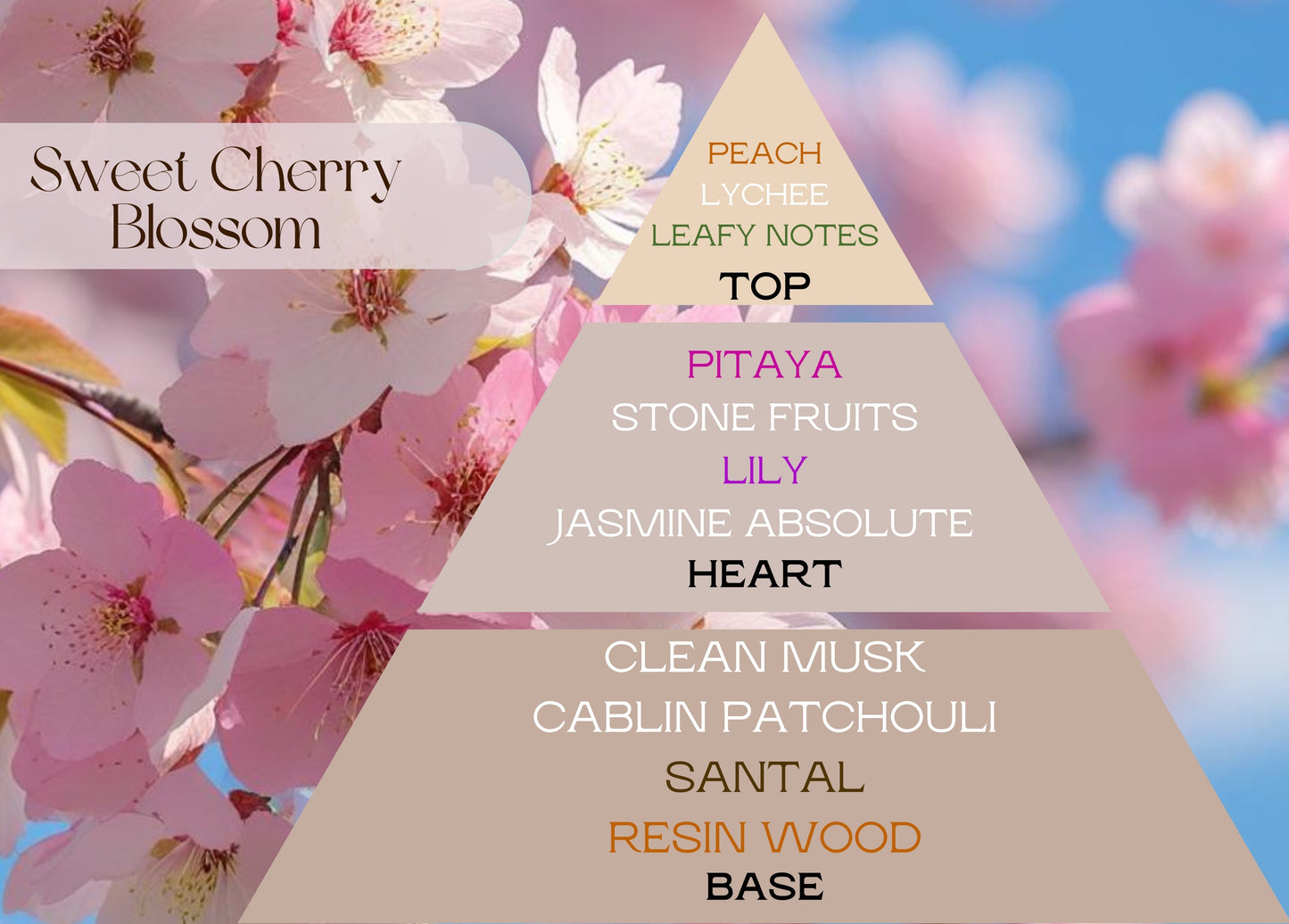 Fragancia SWEET CHERRY BLOSSOM