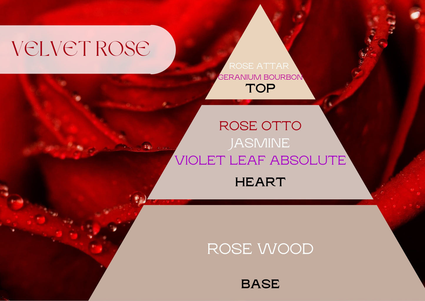 Fragancia VELVET ROSE