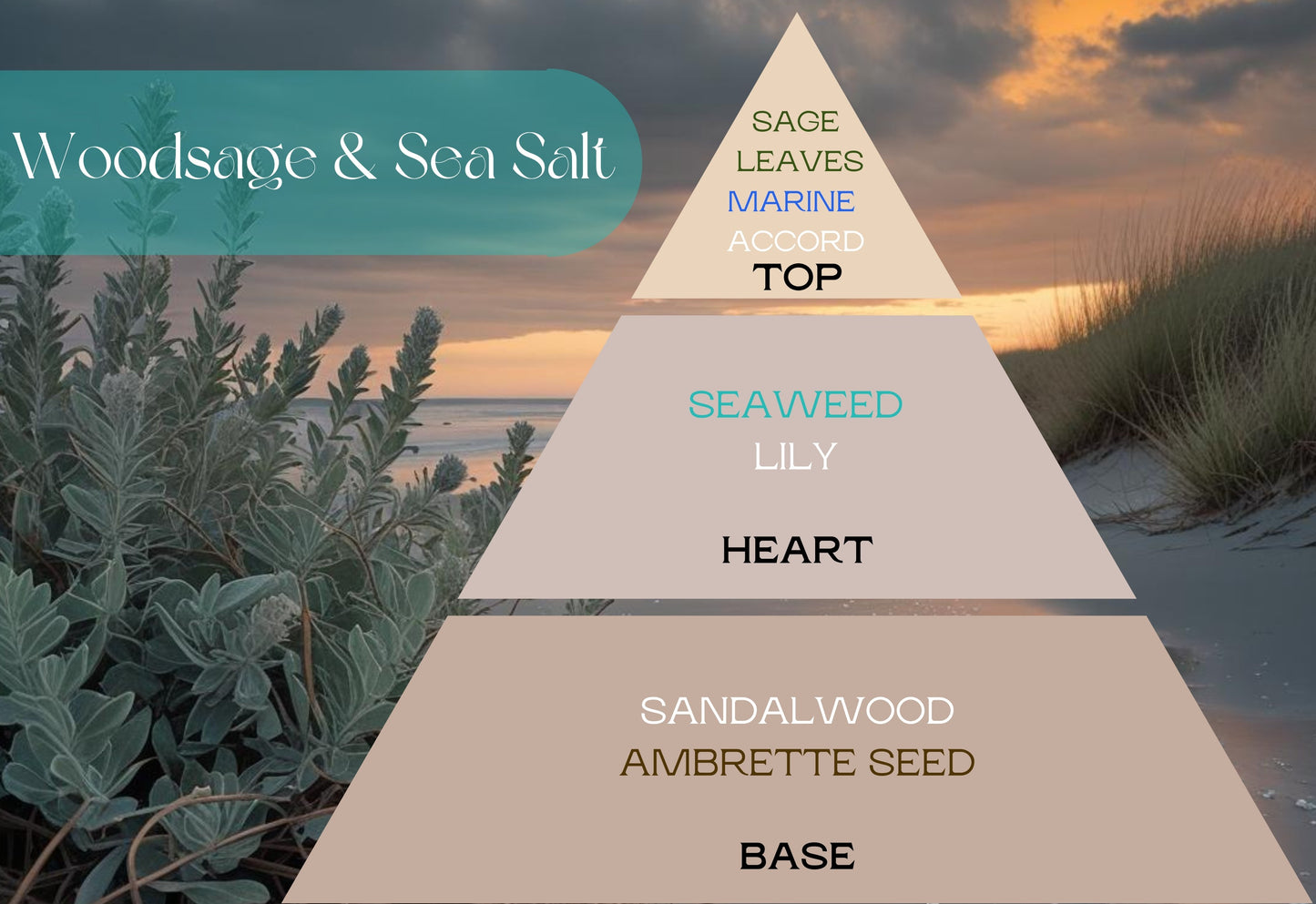 Naturcocó´s Selection: Woody Scents